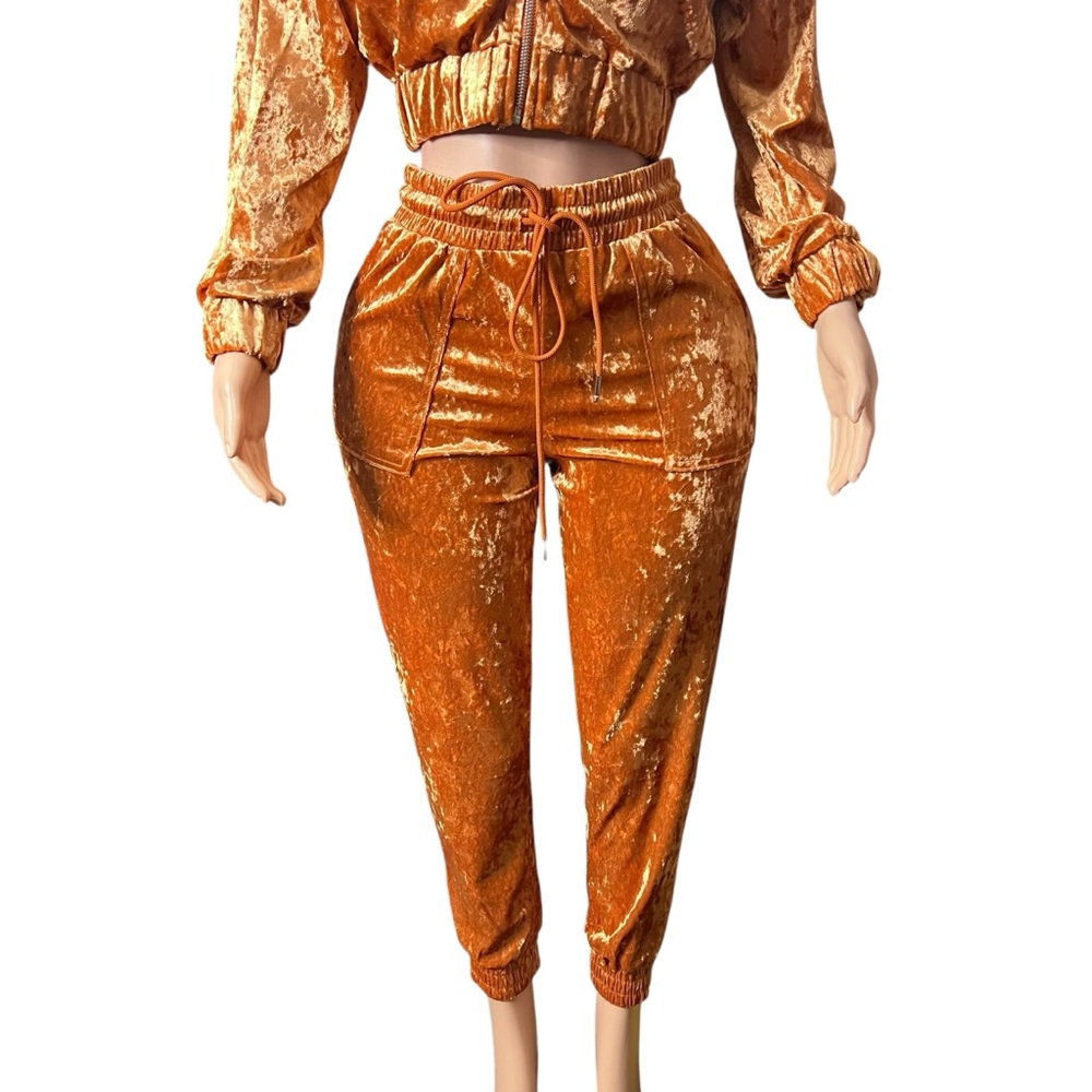 Velvet Gold Pantsuit - Picture 5 of 7